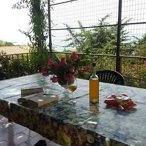 Bouganville Magomadas